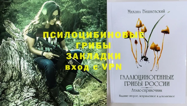 винт Медвежьегорск