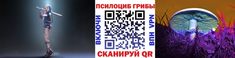Купить  Лениногорск  Галлюциногенные грибы ЛСД 